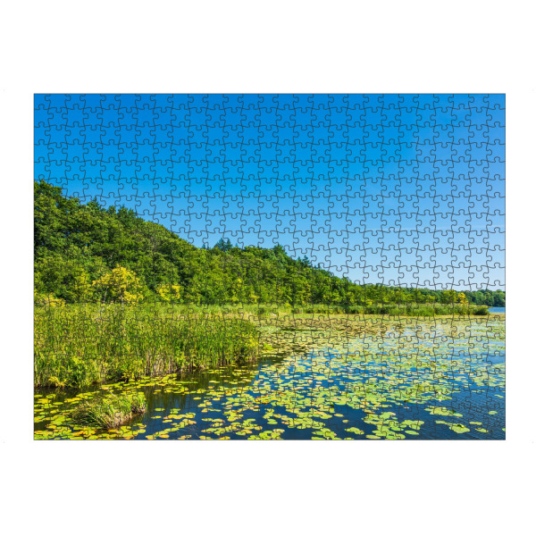 Puzzle Ravensburger "See und Seerosen" artboxONE - Natur,Floral