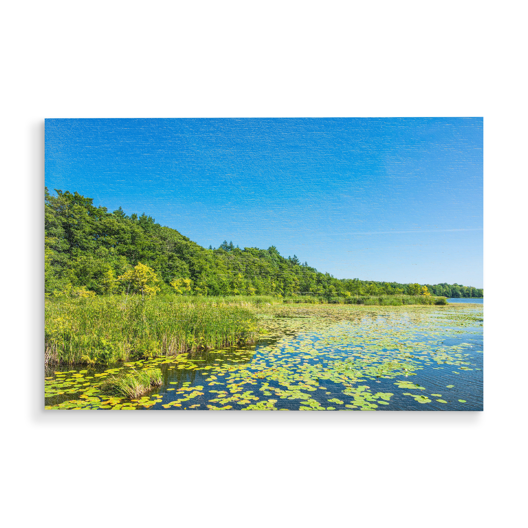 Holzbild "See und Seerosen" artboxONE - Natur,Floral