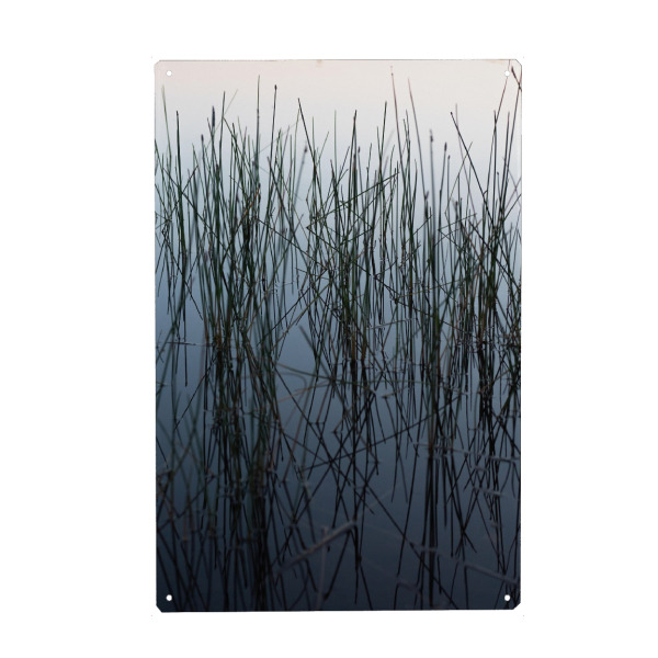 Holzbild "Schilfhalme" artboxONE - Natur - Schilfhalme,Schilf,Wasser,See,Blau,Grün,Weiß,Ruhe,Zen,Friedlich,Neblig,Dunst,Natur,Nature