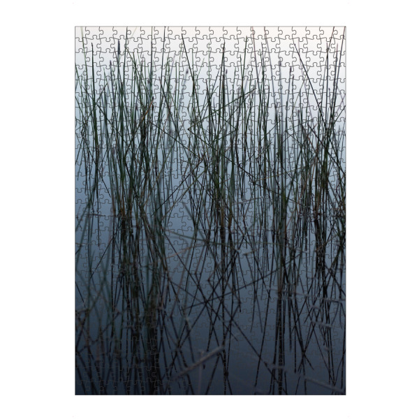 artboxONE Puzzle "Schilfhalme" artboxONE - Natur - Schilfhalme,Schilf,Wasser,See,Blau,Grün,Weiß,Ruhe,Zen,Friedlich,Neblig,Dunst,Natur,Nature
