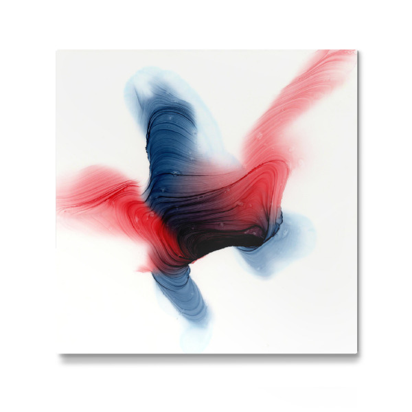 Galerie-Print "Abstract Bird" 30x30 cm artboxONE