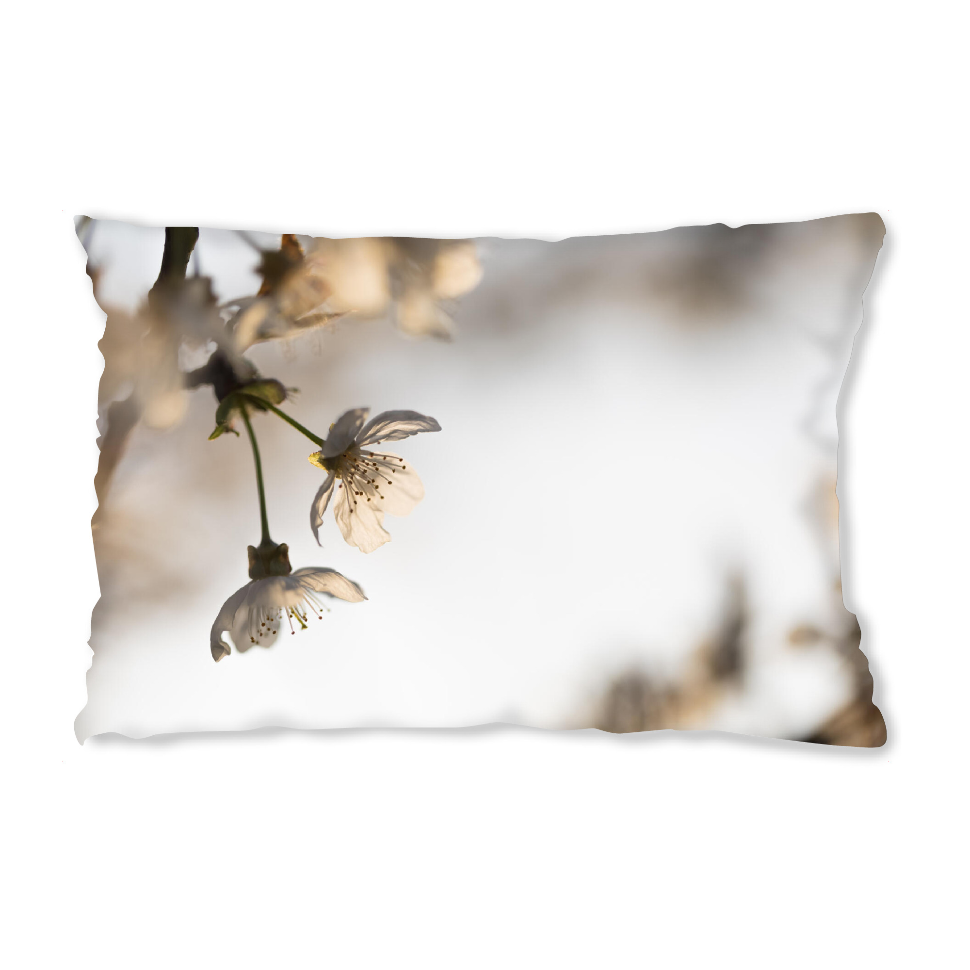 Design-Kissen "Kirschblüten" artboxONE - Natur,Floral
