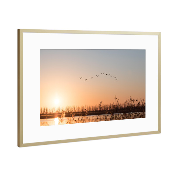 Poster mit Rahmen Gold "Morgenstunde" artboxONE - Natur,Tiere