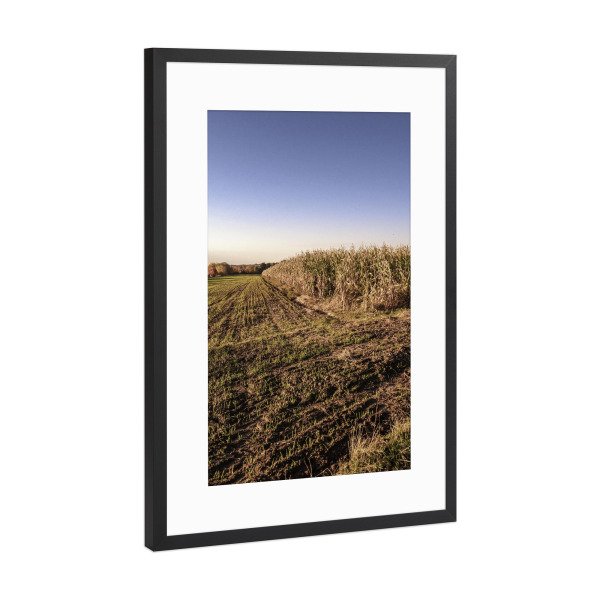 Poster mit Rahmen Schwarz (Metallic) "Bucolism c" artboxONE - Natur - Bucolic,Farm,Countryside,Field,Horizon,Natur,Nature,Trees