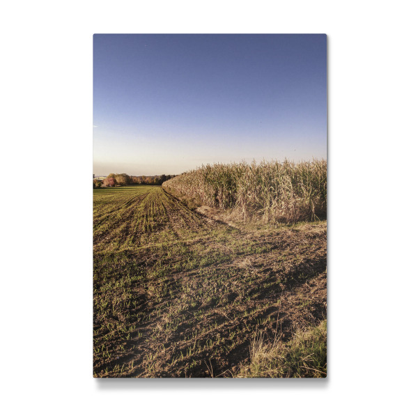 Galerie-Print "Bucolism c" 30x20 cm artboxONE