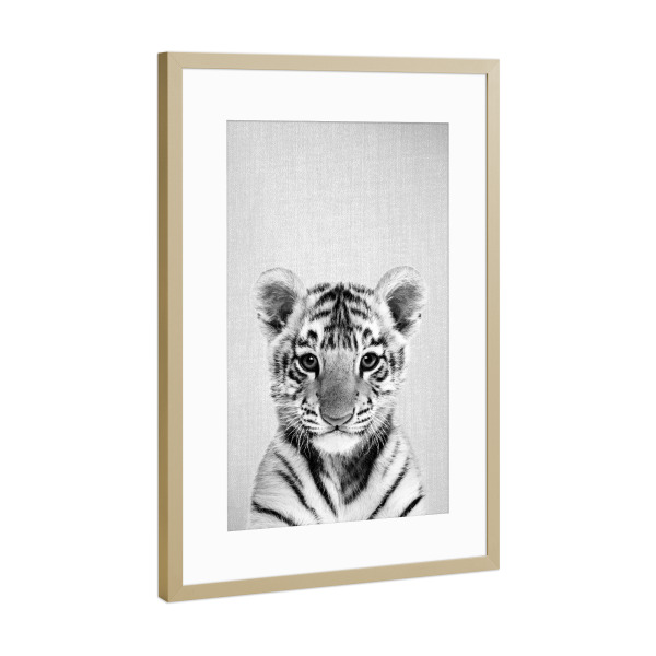 Poster mit Rahmen Gold "Tiger Cub - Black & White" artboxONE - Natur,Für Kinder,Tiere,Reise / Afrika,Für Papa