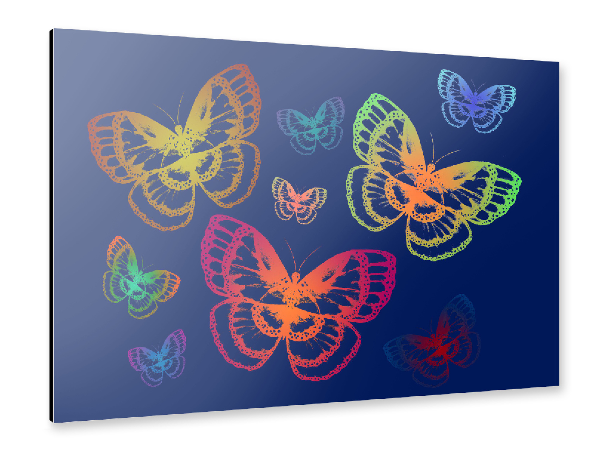 Alu-Dibond "Colorful Butterflies Blue" 30x20 cm artboxONE