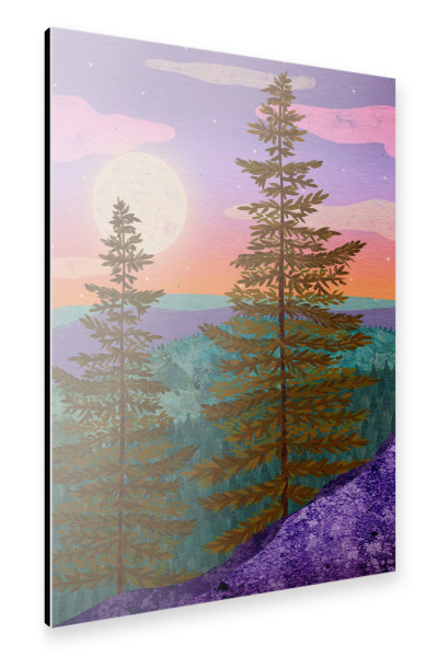 Alu-Dibond "Wald bei Vollmond" 30x20 cm artboxONE