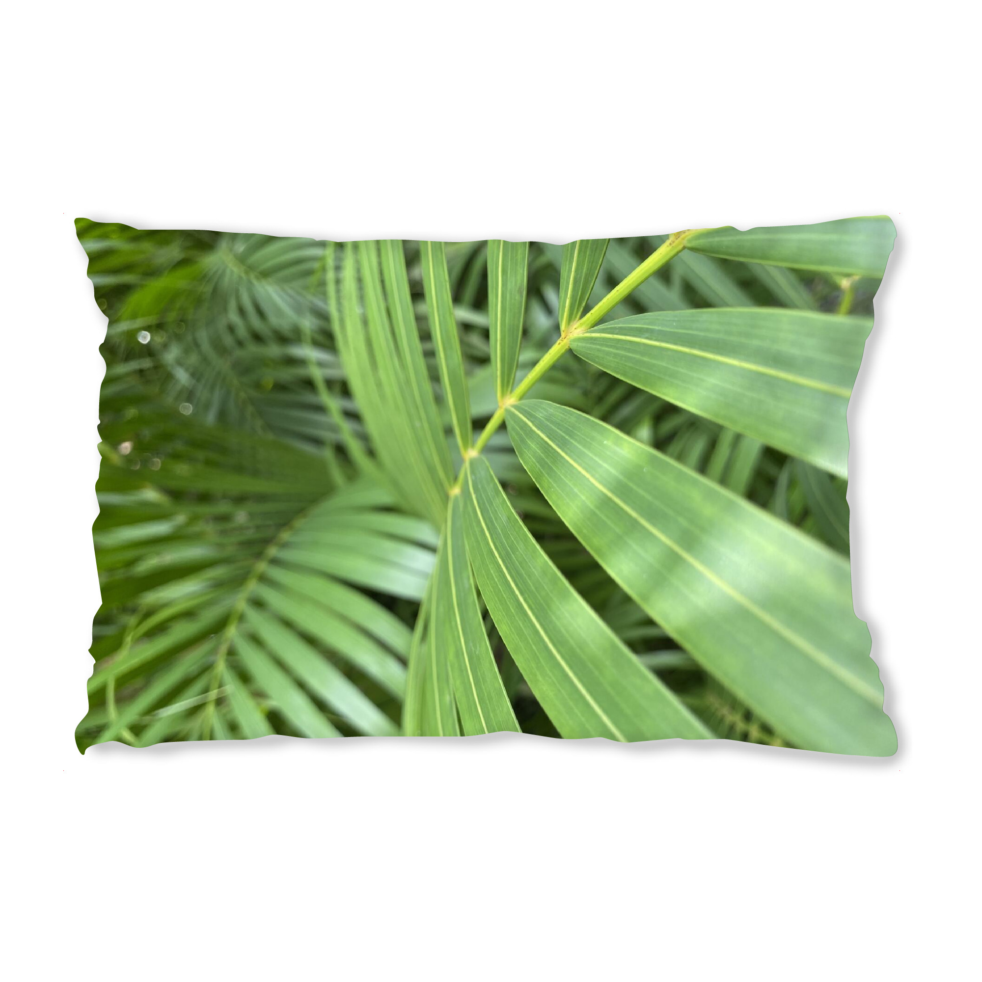 Design-Kissen "Leave" artboxONE - Natur,Reise