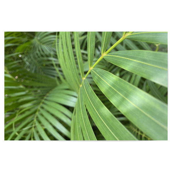 Poster "Leave" artboxONE - Natur,Reise