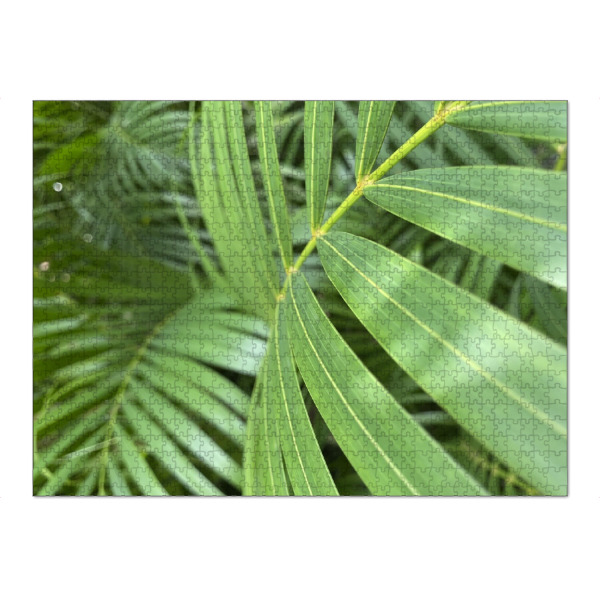 Puzzle Ravensburger "Leave" artboxONE - Natur,Reise