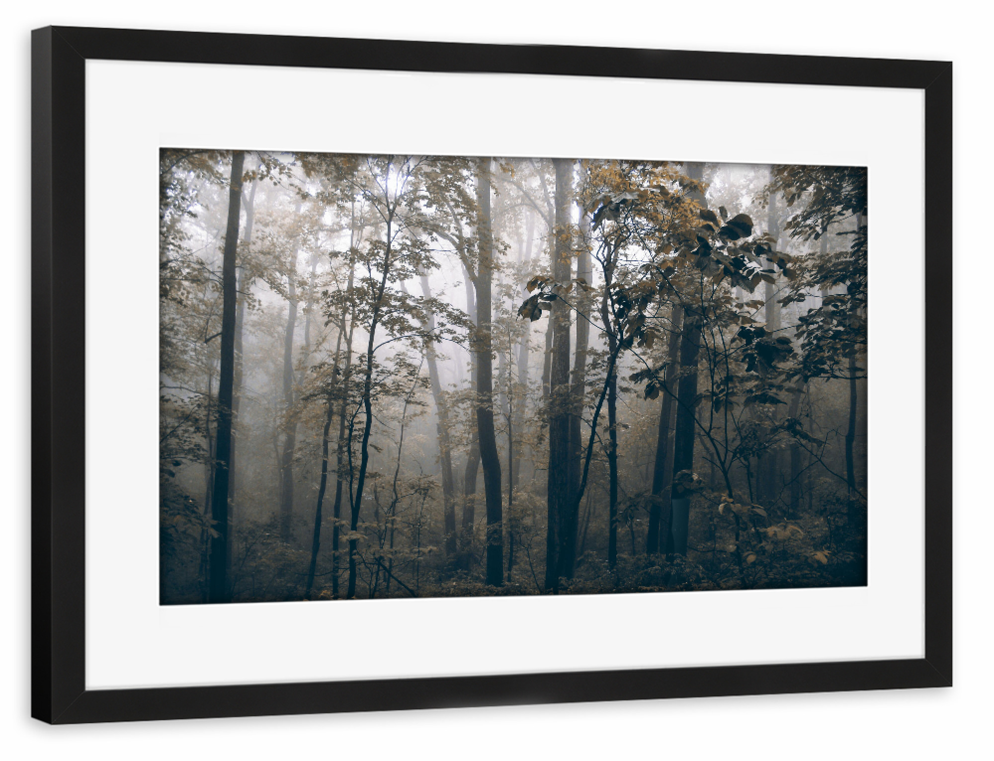 Poster mit Rahmen schwarz "Foggy Woods" artboxONE - Natur,Reise,Floral,Reise / Länder