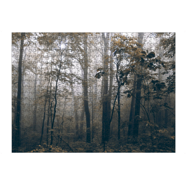 Puzzle Ravensburger "Foggy Woods" artboxONE - Natur,Reise,Floral,Reise / Länder