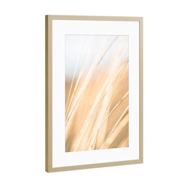 Poster mit Rahmen Gold "Bright Blades of Grass" artboxONE - Natur,Floral
