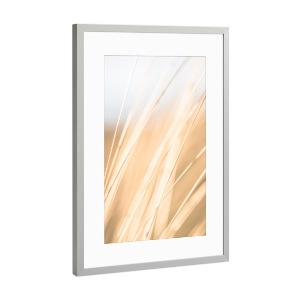 Poster mit Rahmen Silber "Bright Blades of Grass" artboxONE - Natur,Floral
