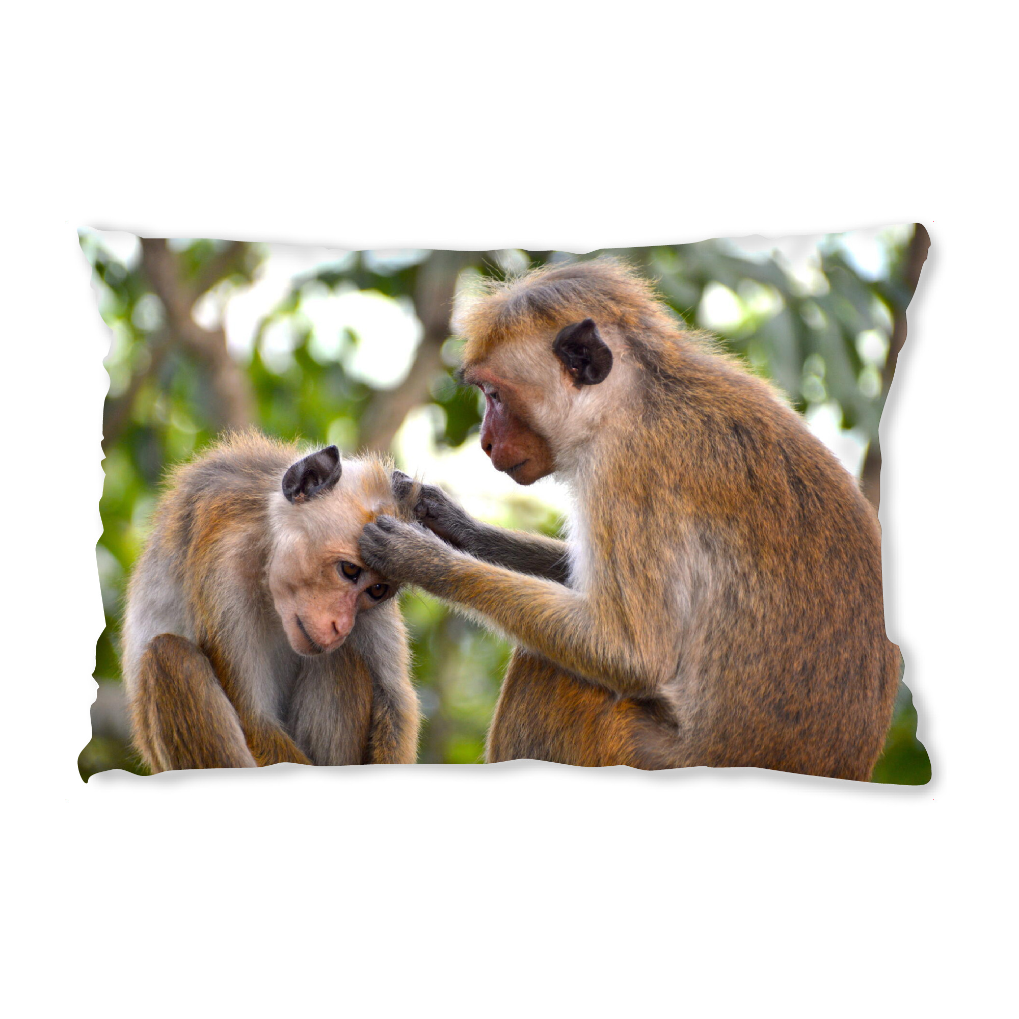 Design-Kissen "Ceylon Hat Monkeys" artboxONE - Natur,Tiere