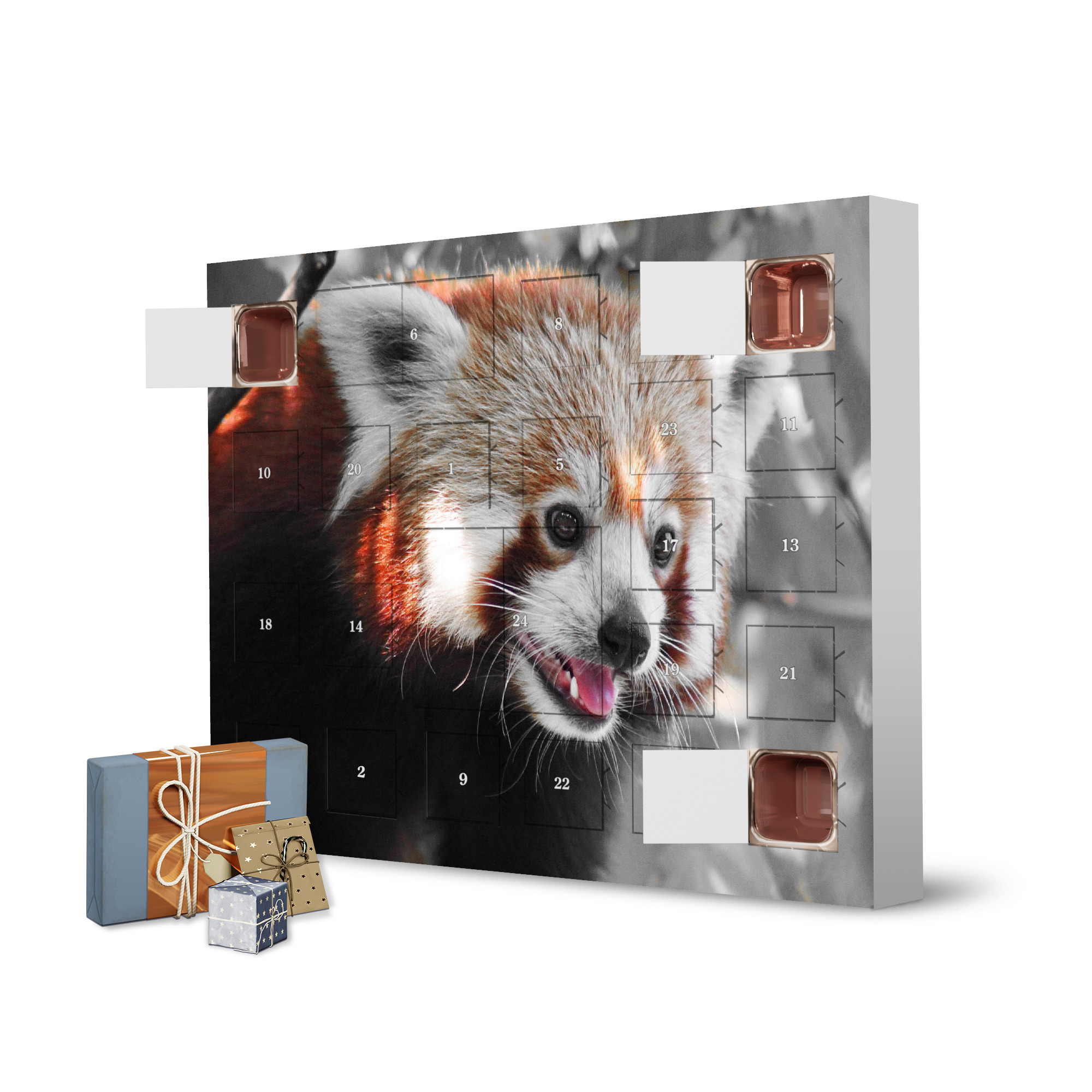 Adventskalender zum Selbstbefüllen Roter Panda Portrait ck artboxONE Adventskalender Natur