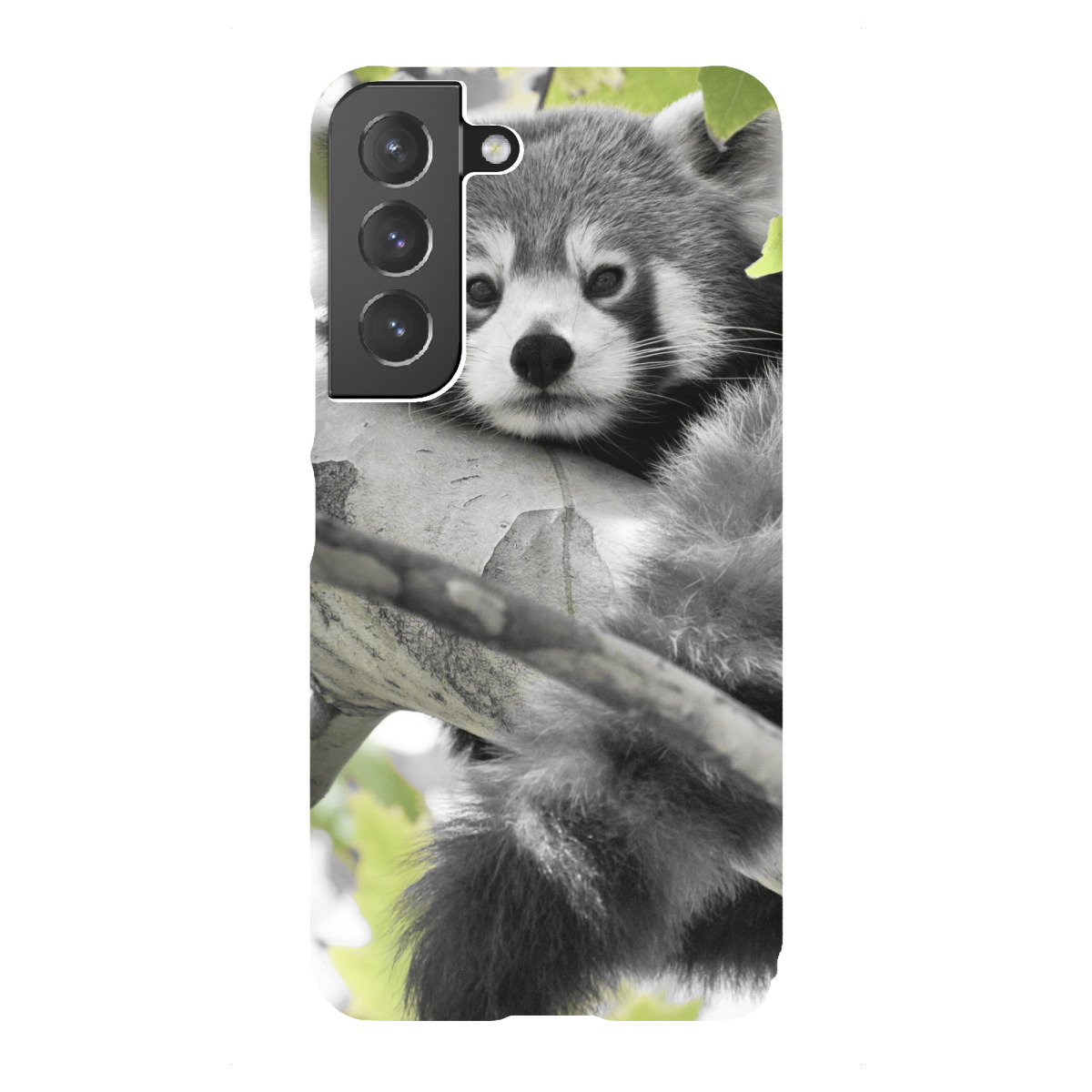 Samsung Galaxy "Roter Panda ck" Premium-Case Handyhülle artboxONE
