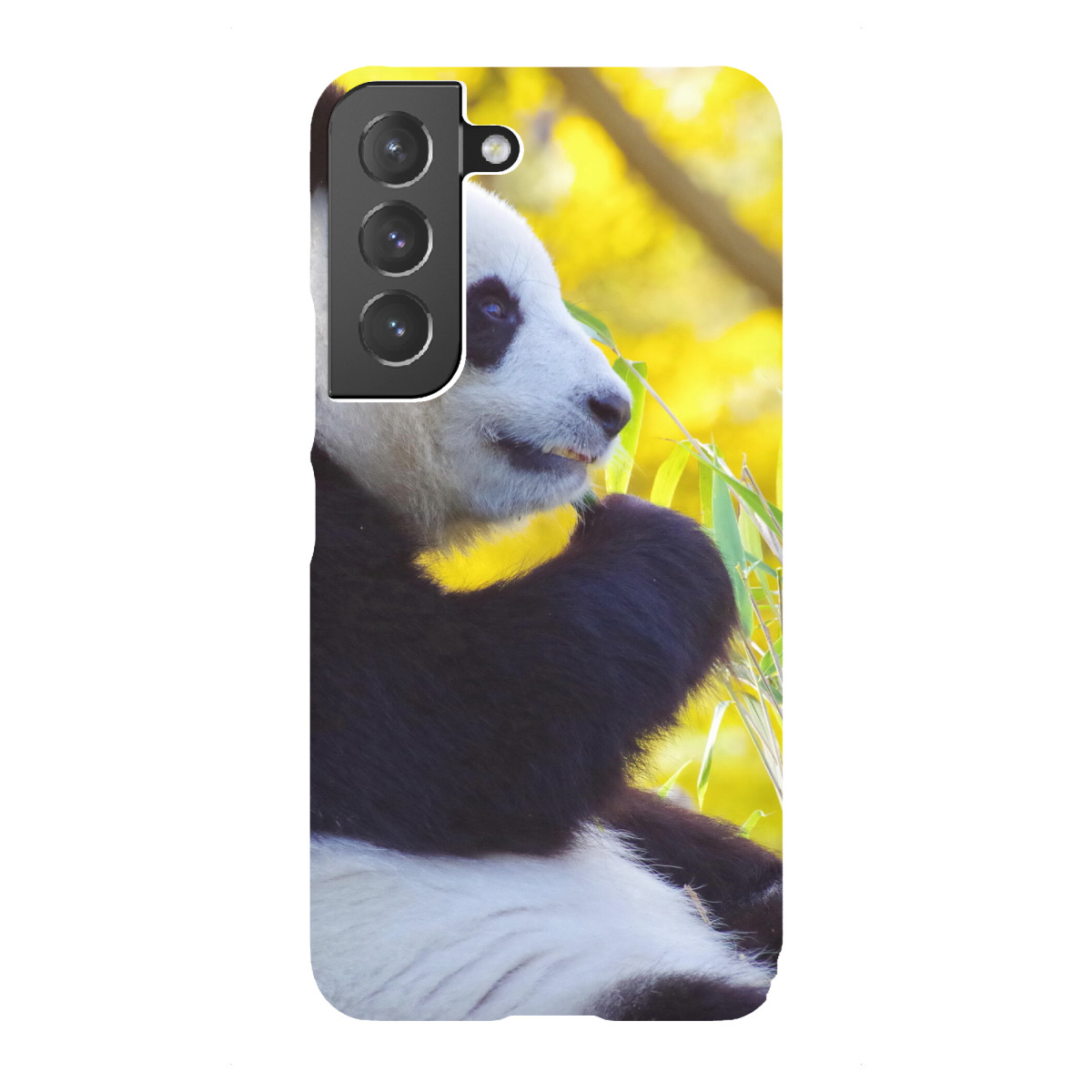 "Panda Zeit"für Samsung Galaxy - Premium-Case Handyhülle artboxONE