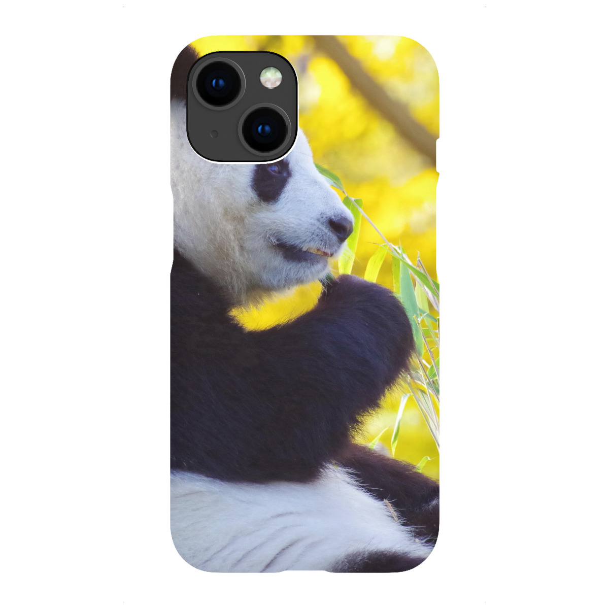 "Panda Zeit"für iPhone - Premium-Case Handyhülle artboxONE