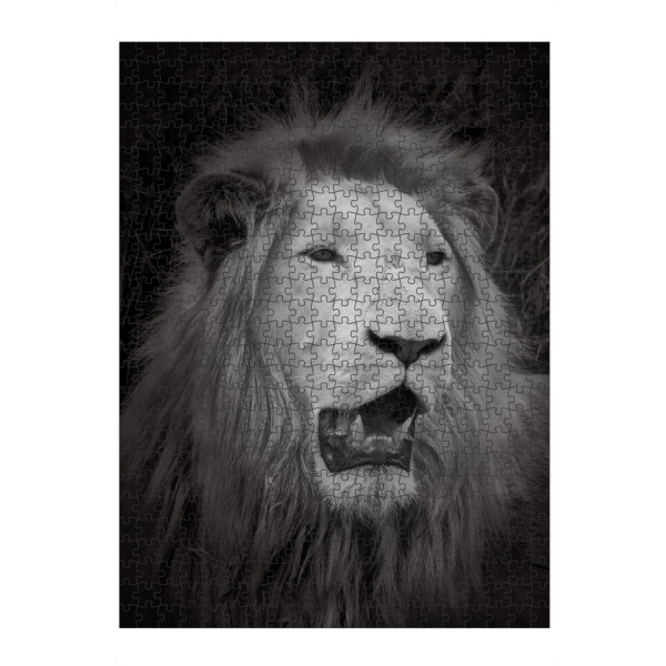 artboxONE Puzzle "Weißer Löwe im Portrait C" artboxONE - Natur,Tiere,Reise / Afrika