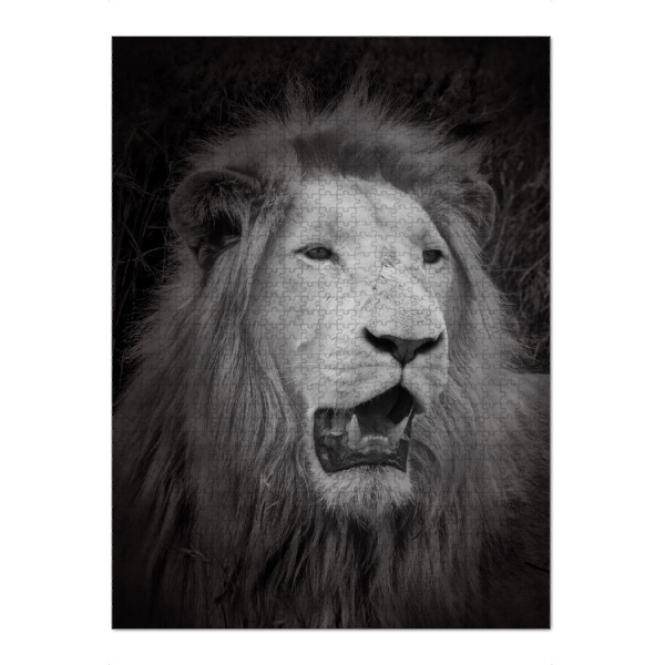 Puzzle Ravensburger "Weißer Löwe im Portrait C" artboxONE - Natur,Tiere,Reise / Afrika