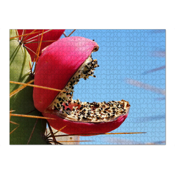 Puzzle Ravensburger "Rote Kaktusfrucht" artboxONE - Natur,Floral,Reise / Afrika