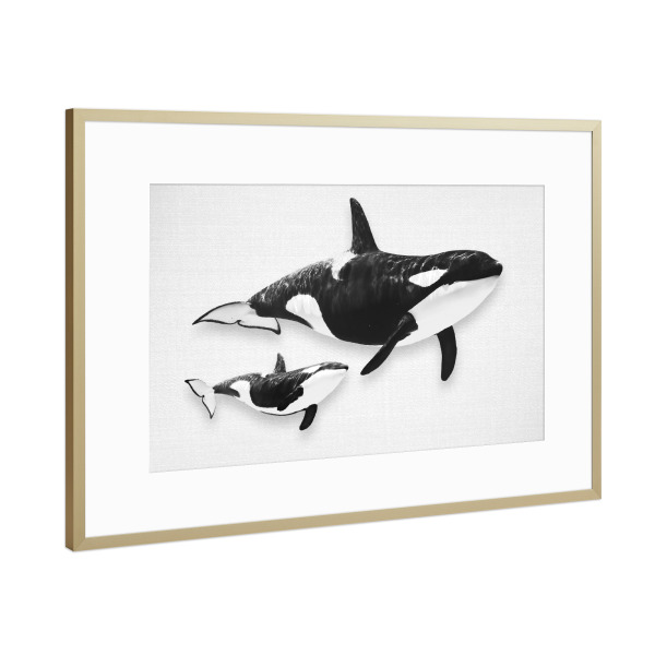 Poster mit Rahmen Gold "Whales - Black & White" artboxONE - Für Kinder,Tiere,Reise / Strand und Meer