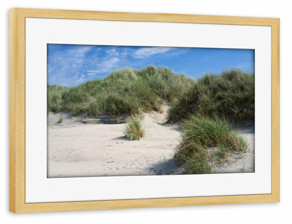 Poster mit Rahmen kiefer "Dünenlandschaft auf Baltrum" artboxONE - Natur,Reise / Strand und Meer