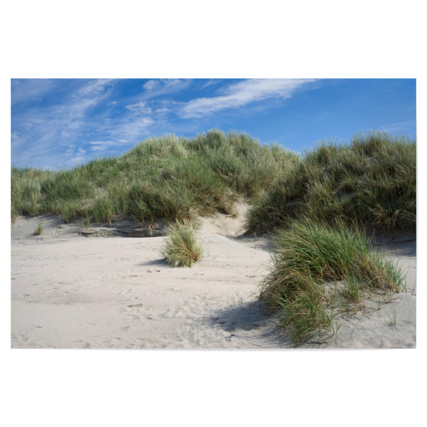Poster 30x20 cm "Dünenlandschaft auf Baltrum" artboxONE - Natur,Reise / Strand und Meer