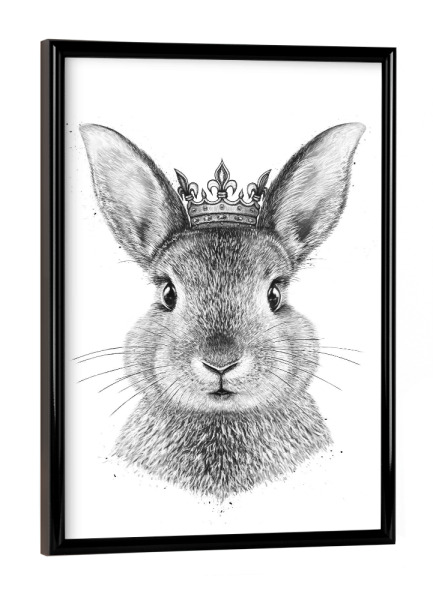 Poster mit schwarzem Rahmen "Queen rabbit" artboxONE - Natur,Tiere,Weihnachten,Für Mama,Lustig