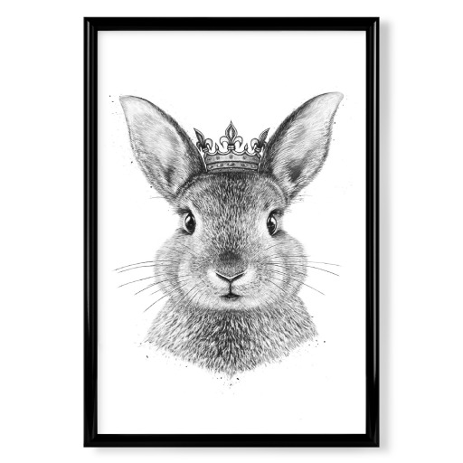 Queen rabbit