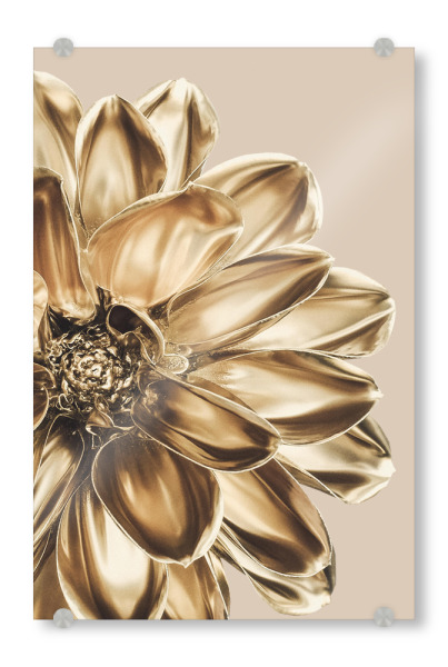 Acrylglasbild "Flower in Gold" artboxONE - Natur,Floral