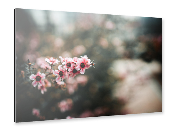 Alu-Dibond "Floral dream" 30x20 cm artboxONE