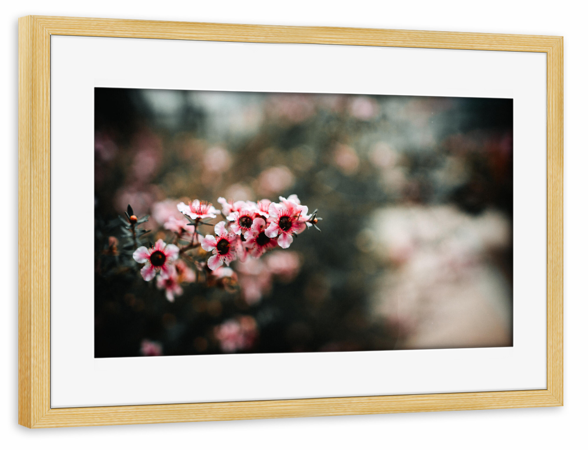 Poster mit Rahmen kiefer "Floral dream" artboxONE - Natur,Floral