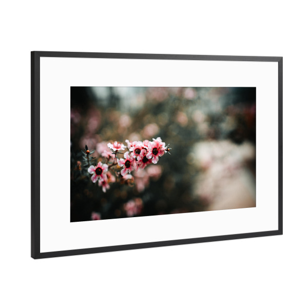 Poster mit Rahmen Schwarz (Metallic) "Floral dream" artboxONE - Natur,Floral