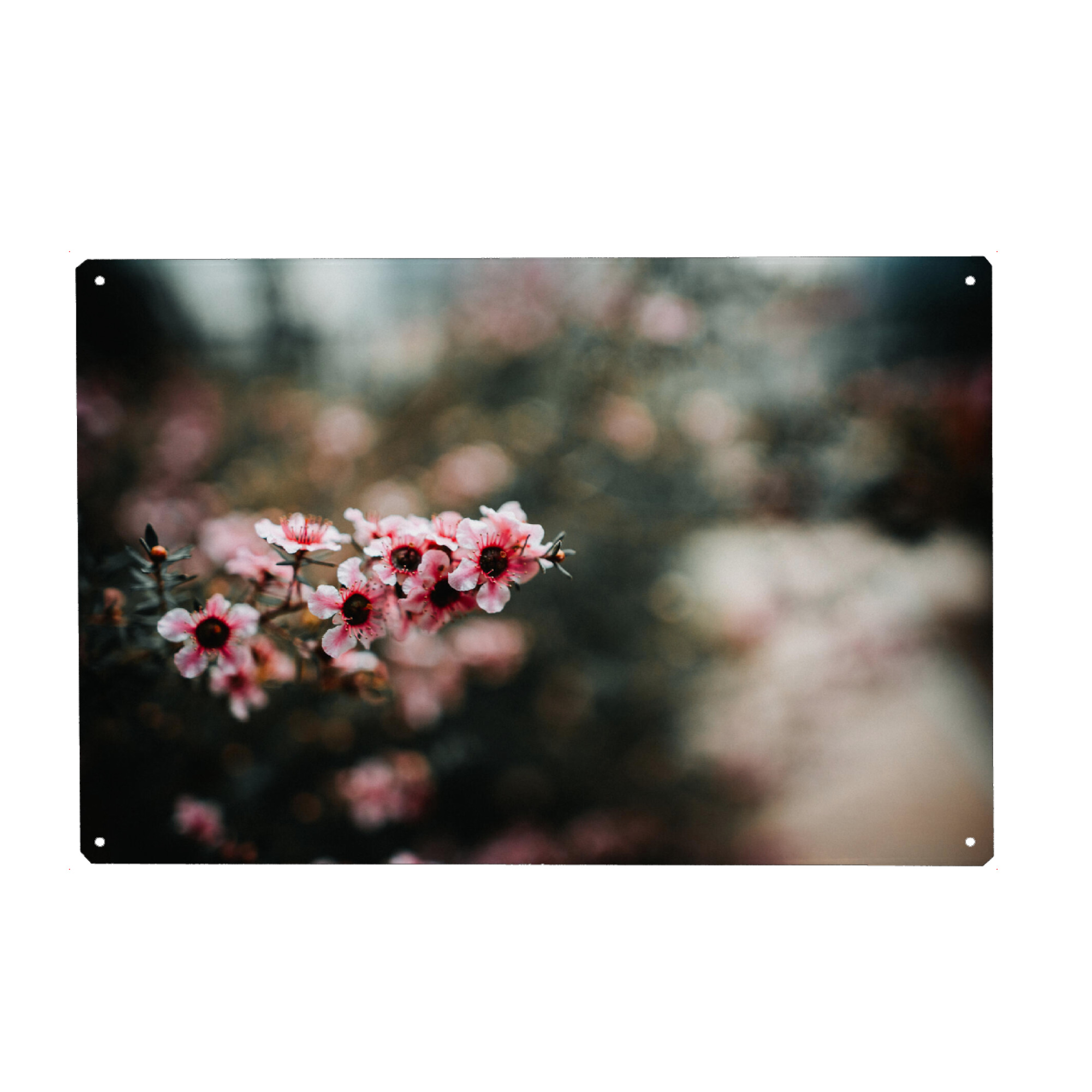 Metall Poster "Floral dream" artboxONE - Natur,Floral