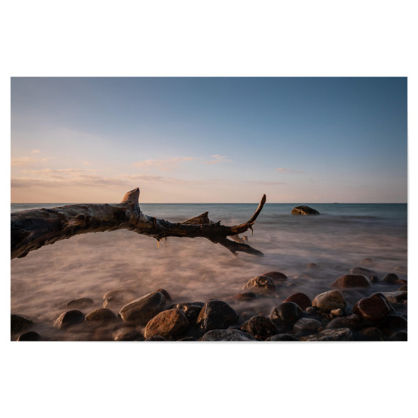 Poster 30x20 cm "Baumstamm an der Ostsee" artboxONE - Natur,Reise,Reise / Strand und Meer