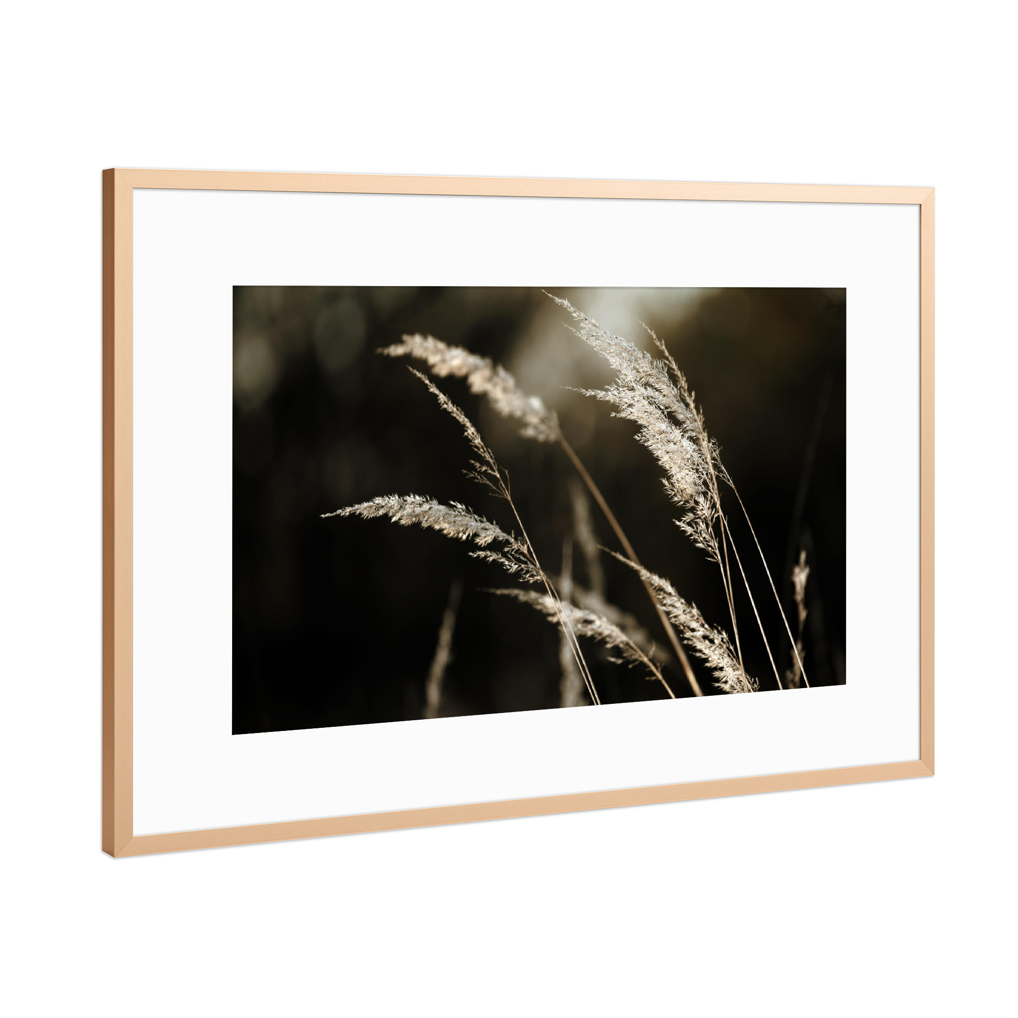 Poster mit Rahmen Kupfer "Grass Silhouette beige schwarz" artboxONE - Natur,Floral,Schwarzweiß