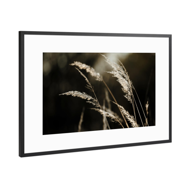 Poster mit Rahmen Schwarz (Metallic) "Grass Silhouette beige schwarz" artboxONE - Natur,Floral,Schwarzweiß