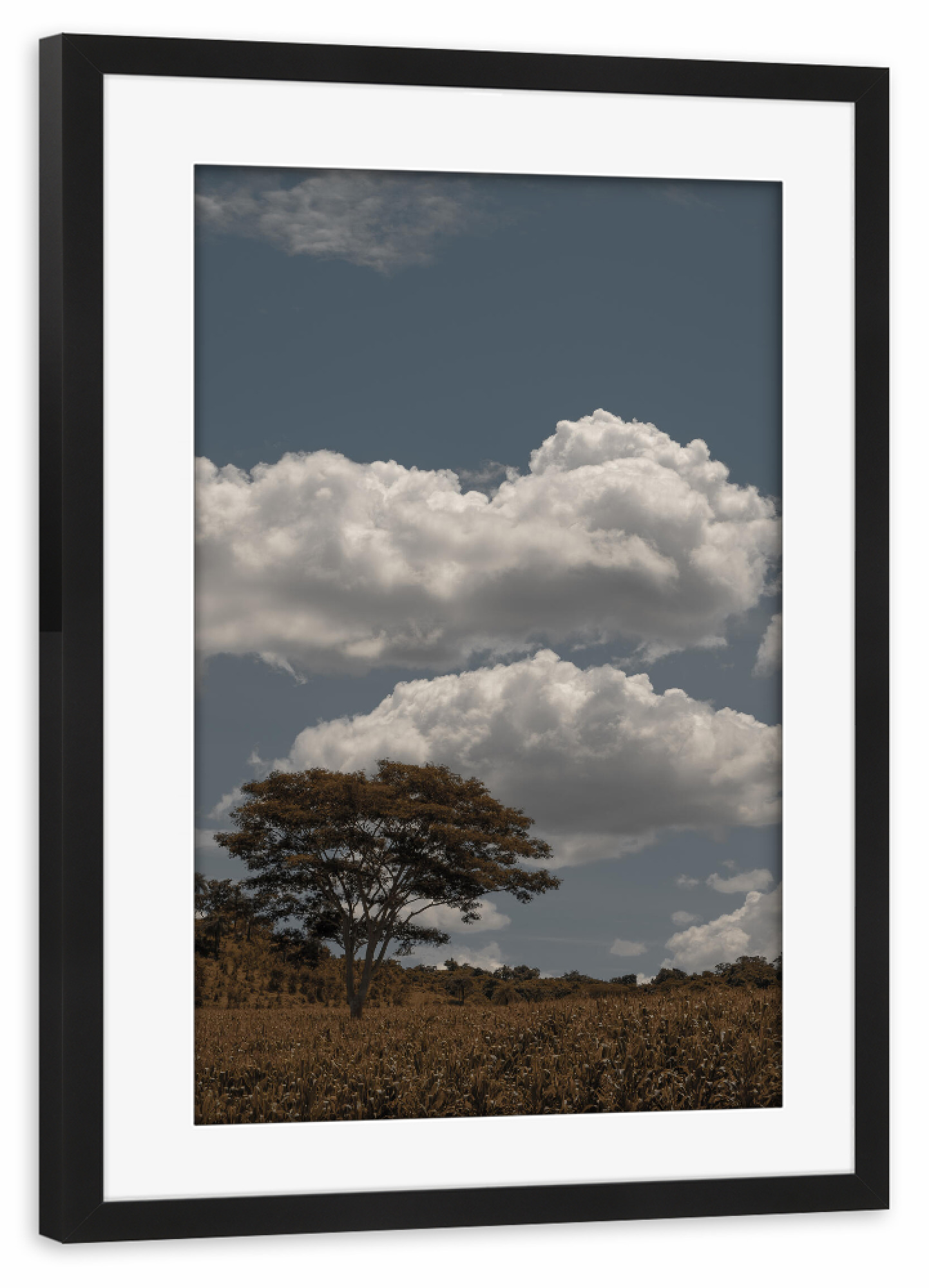Poster mit Rahmen schwarz "Field Tree" artboxONE - Natur