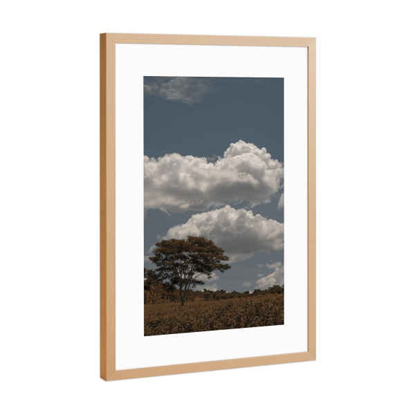 Poster mit Rahmen Kupfer "Field Tree" artboxONE - Natur - Tree,Cornfield,Clouds,Sky,Baum,Himmel,Natur,Nature,Landschaft,Landscape,Sonne,Sunny,Sunshine