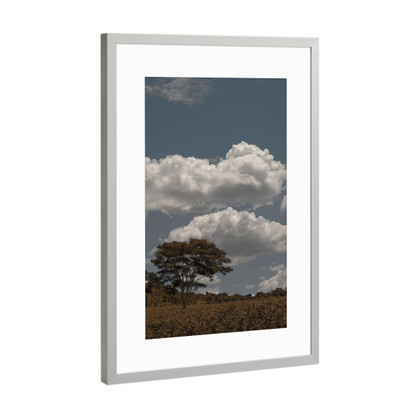 Poster mit Rahmen Silber "Field Tree" artboxONE - Natur - Tree,Cornfield,Clouds,Sky,Baum,Himmel,Natur,Nature,Landschaft,Landscape,Sonne,Sunny,Sunshine