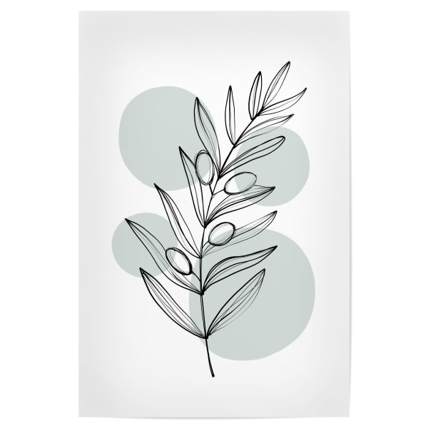 Poster "Buffiere-Botanicals Olive" artboxONE - Natur,Floral,Essen & Trinken / Obst & Gemüse