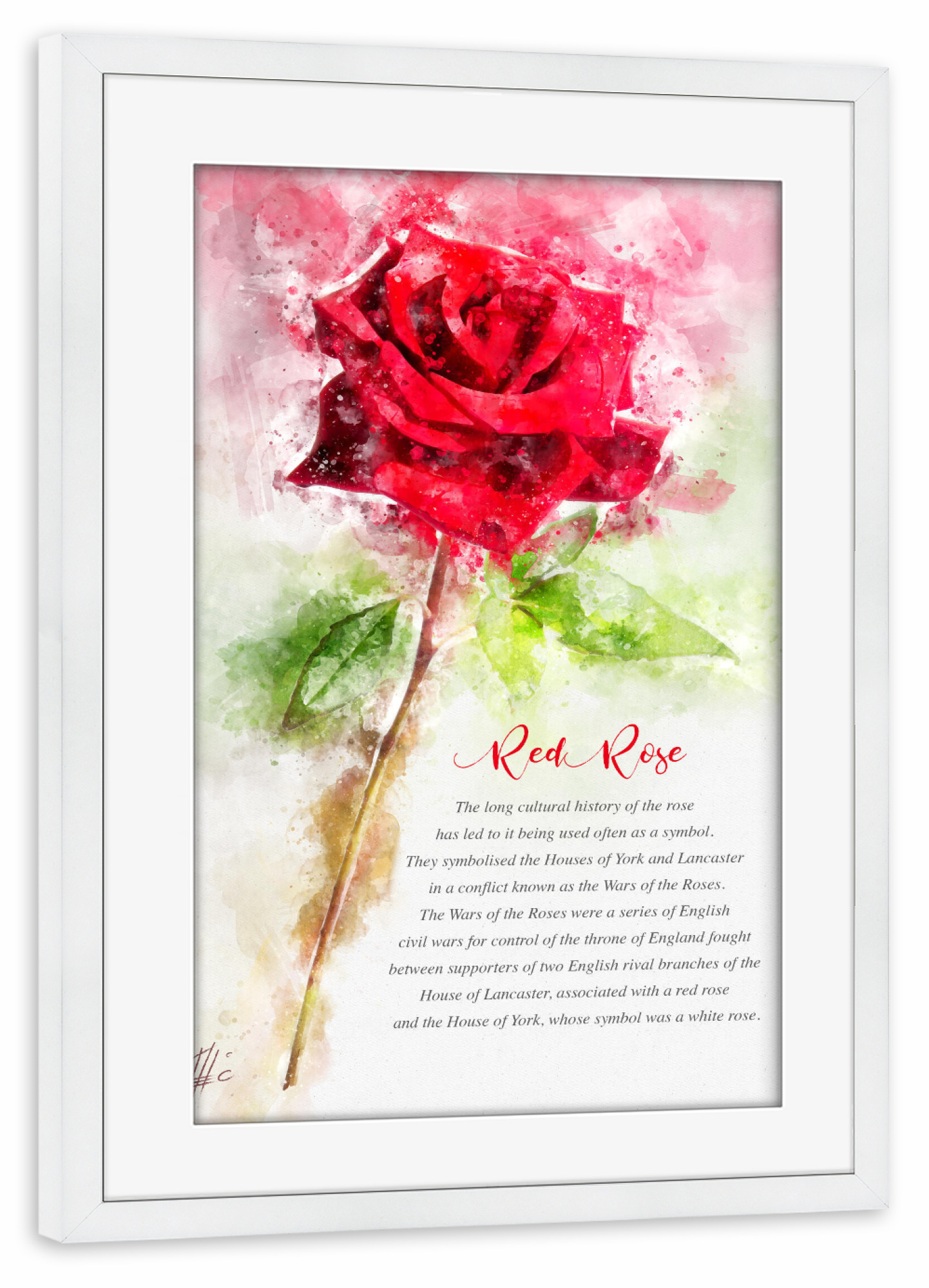 Poster mit Rahmen weiß "Lovely Red Rose" artboxONE - Natur,Floral