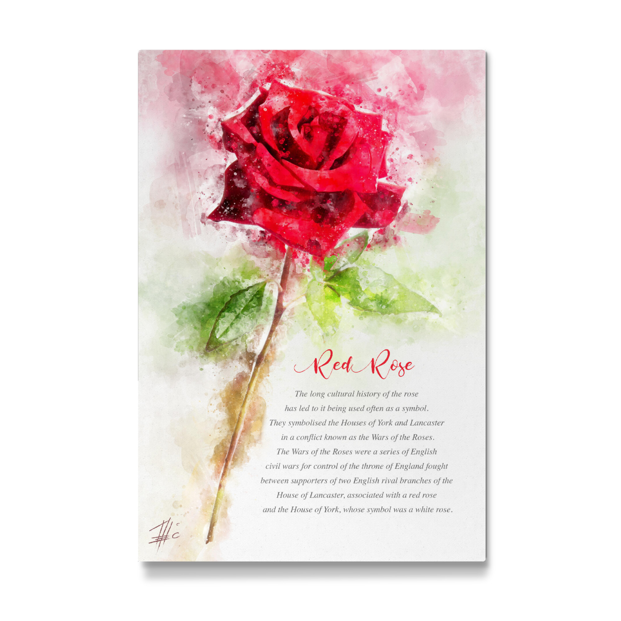 Galerie-Print "Lovely Red Rose" 30x20 cm artboxONE
