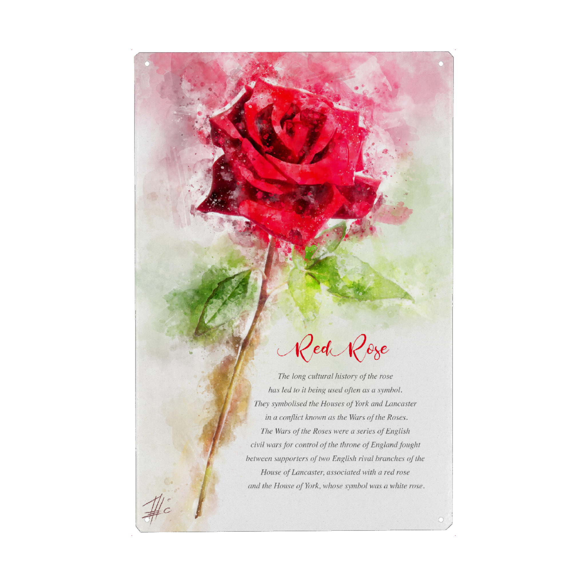 Metall Poster "Lovely Red Rose" artboxONE - Natur,Floral