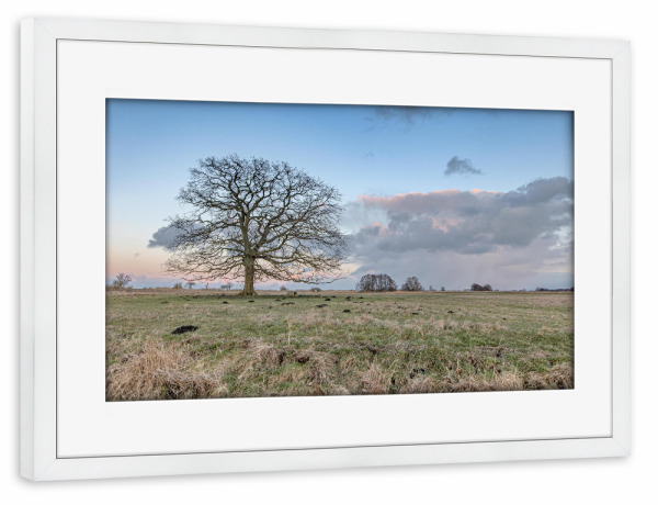 Poster mit Rahmen weiß "Der Abendbaum" artboxONE - Natur