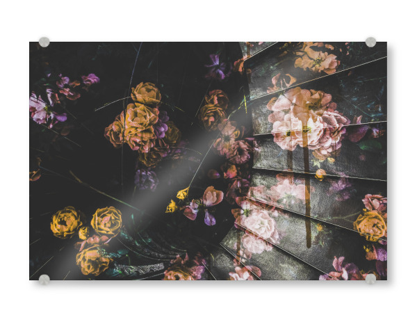 Acrylglasbild "Roses Bloomed by Tas" artboxONE - Natur,Floral,Geometrie