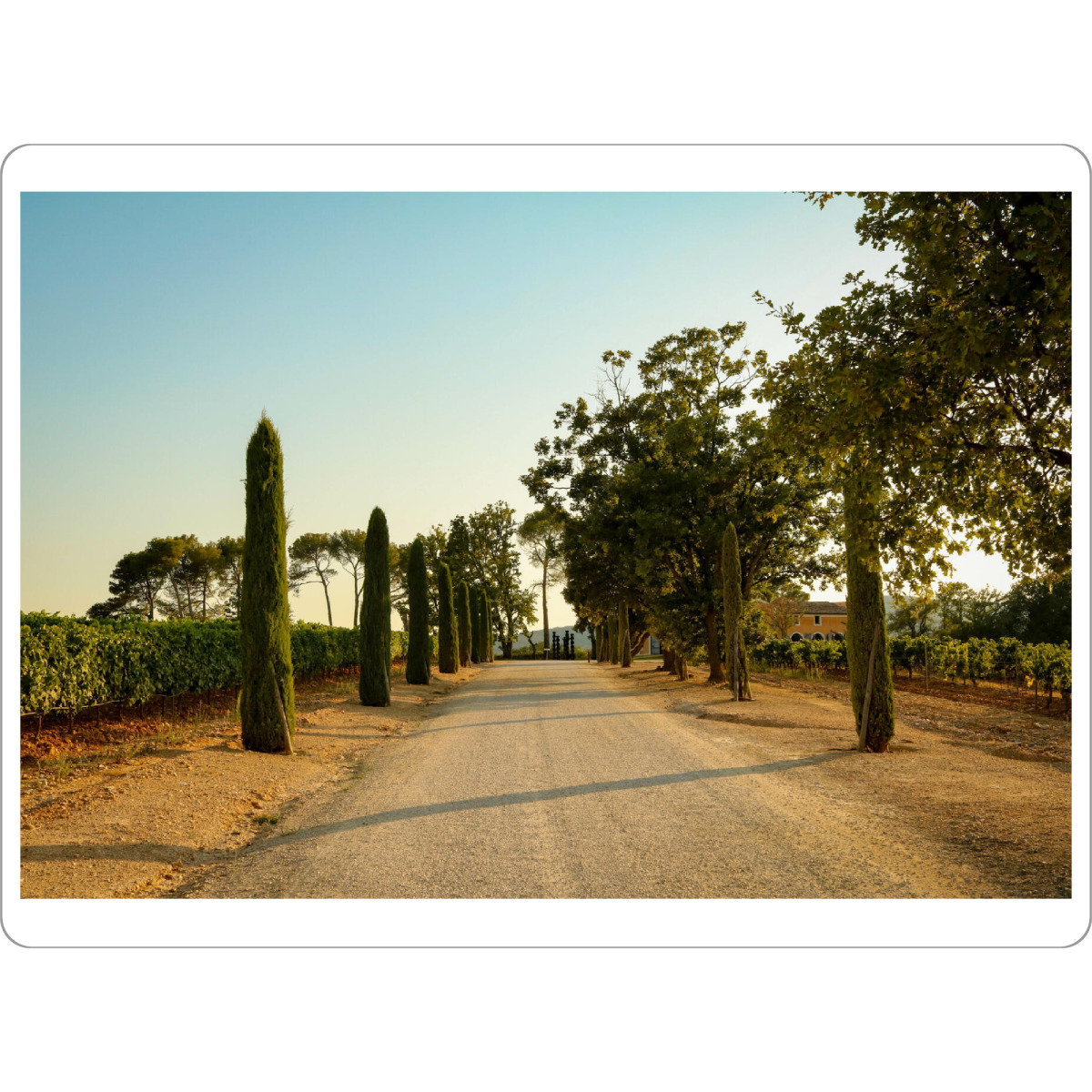 Tischset "Le Domaine" artboxONE - Natur,Reise,Essen & Trinken,Reise / Länder